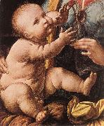 LEONARDO da Vinci The Madonna of the Carnation  g Spain oil painting artist